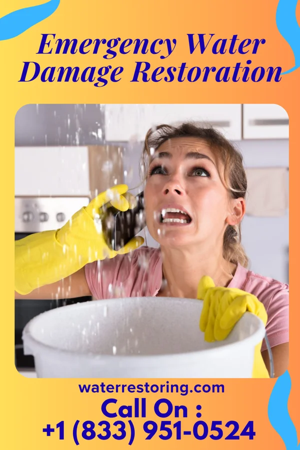 Emergency Water Damage Restoration in Dunstan, ME