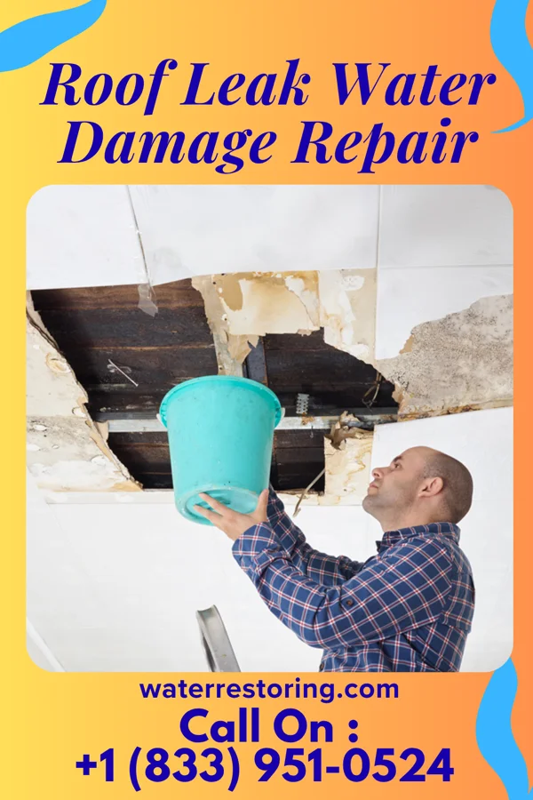Roof Leak Water Damage Repair in Dunstan, ME